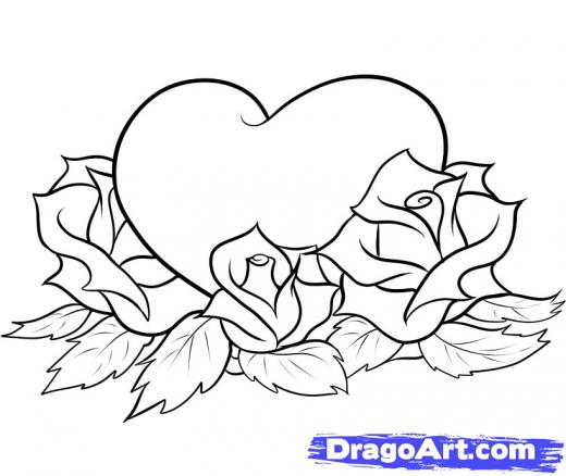 520x438 Drawn Hearts Big Rose