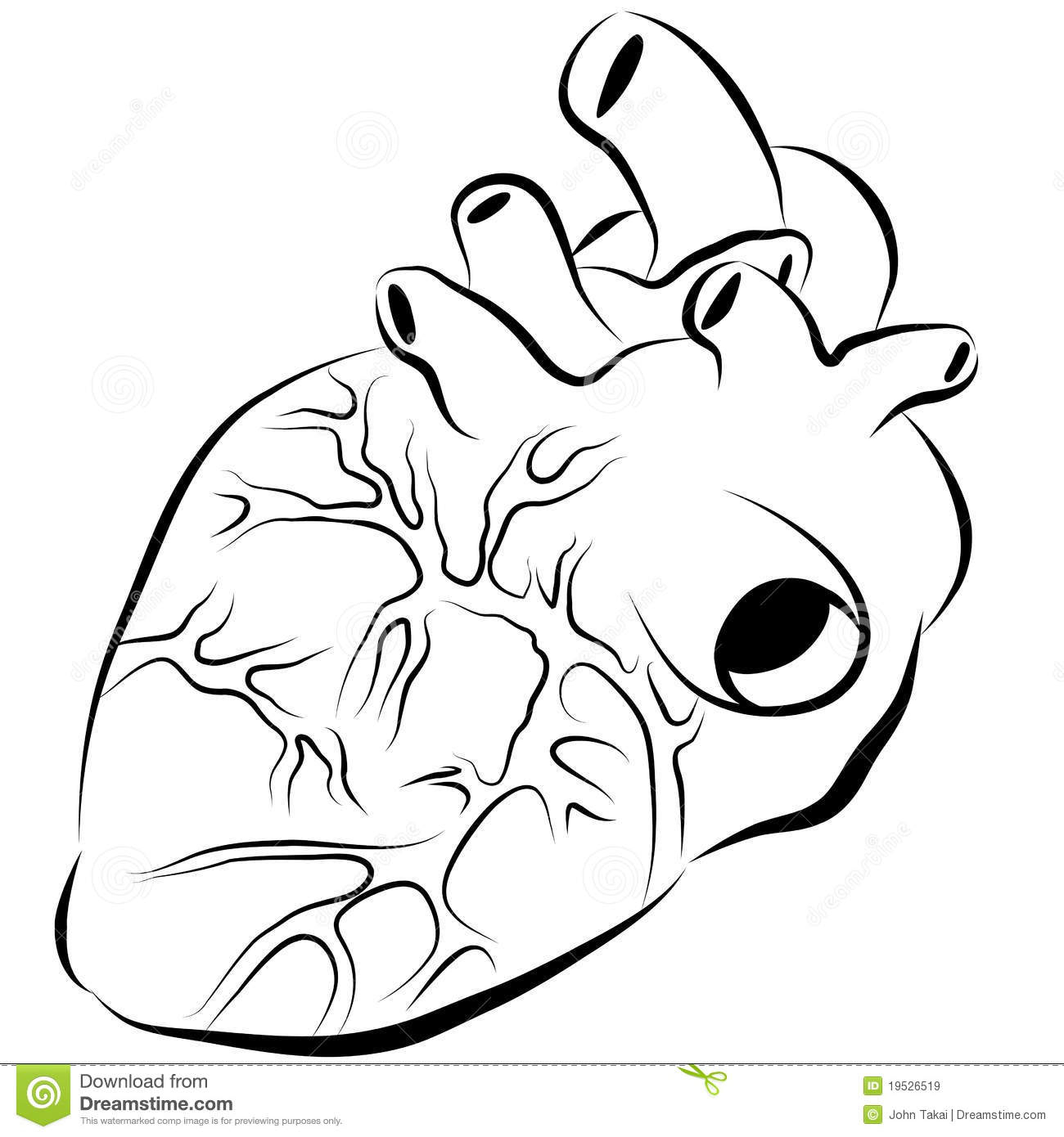 1300x1390 Simple Human Heart Drawing Images For Gt Real Heart Tattoo Drawing