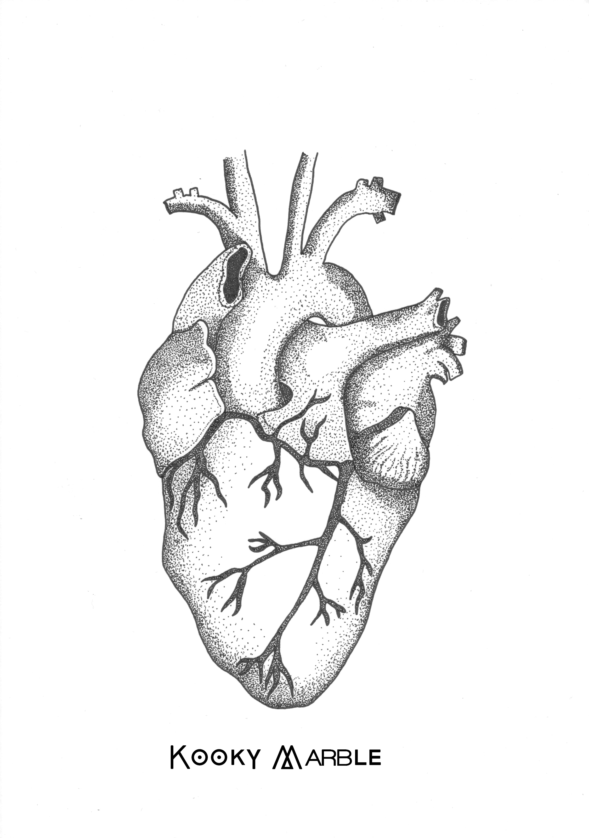 2460x3500 My Last Drawing