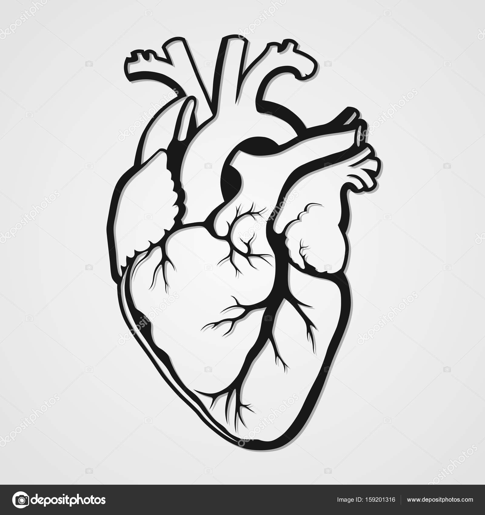 1600x1700 Black Human Heart Stock Vector Vlad210498