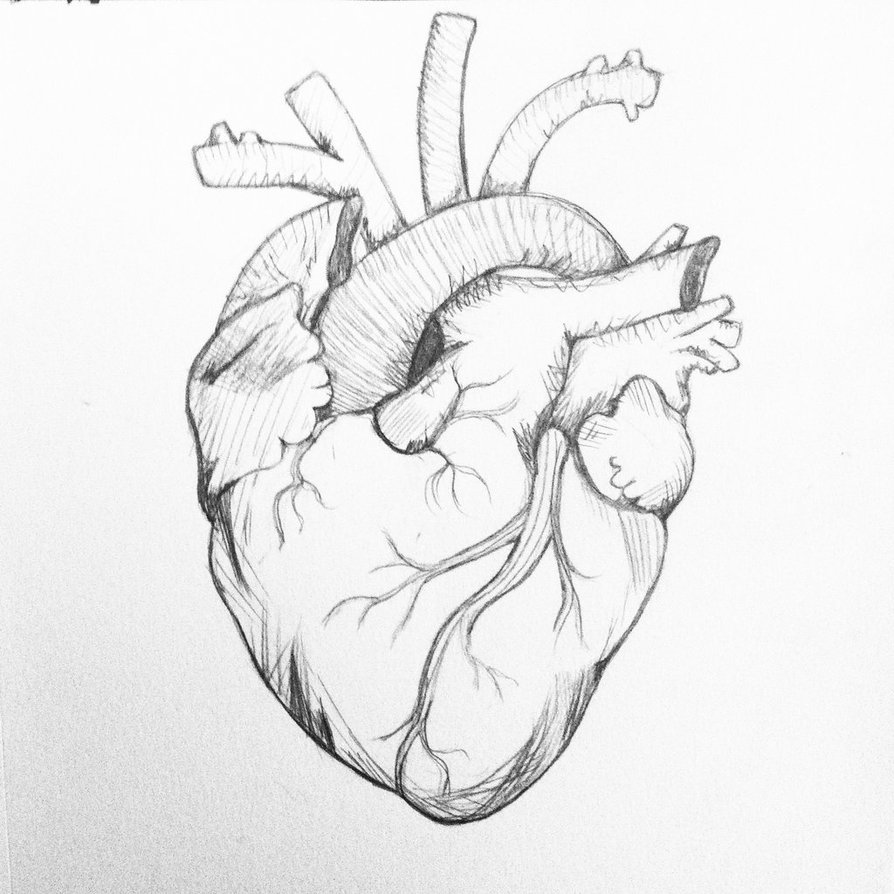 894x894 Heart