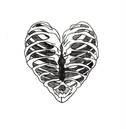 500x514 Love Drawing Heart Sketch Skeleton Bones Ribs Ribcage Organ