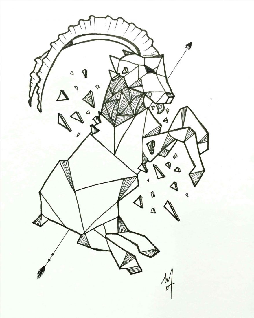 878x1098 Rose 2 Roses Tattoo Drawing Outline Simple Tribal Flower Ideas