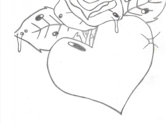 640x480 The Images Collection Of Roses With Free Color Pencil He Rose