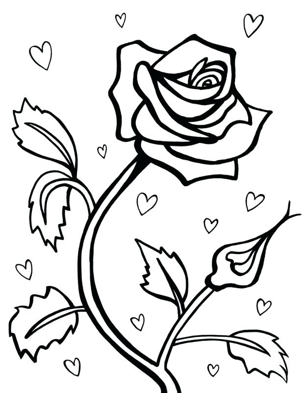 618x800 Heart And Roses Coloring Pages Hearts Rose