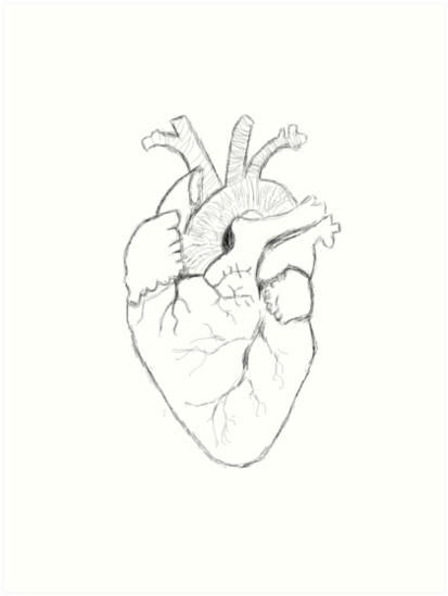 Heart Sketch Drawing
