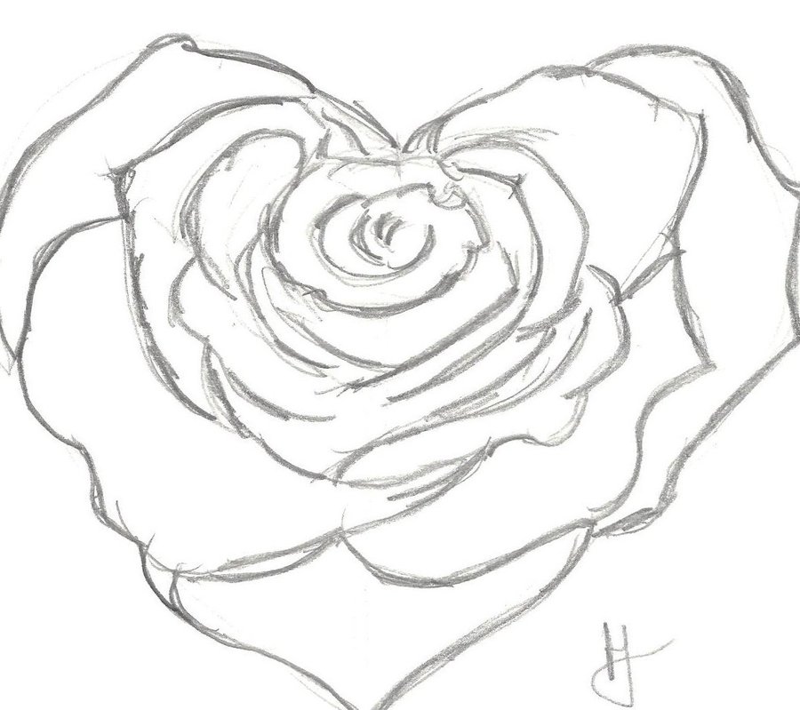 900x799 Heart Rose By Halsie93