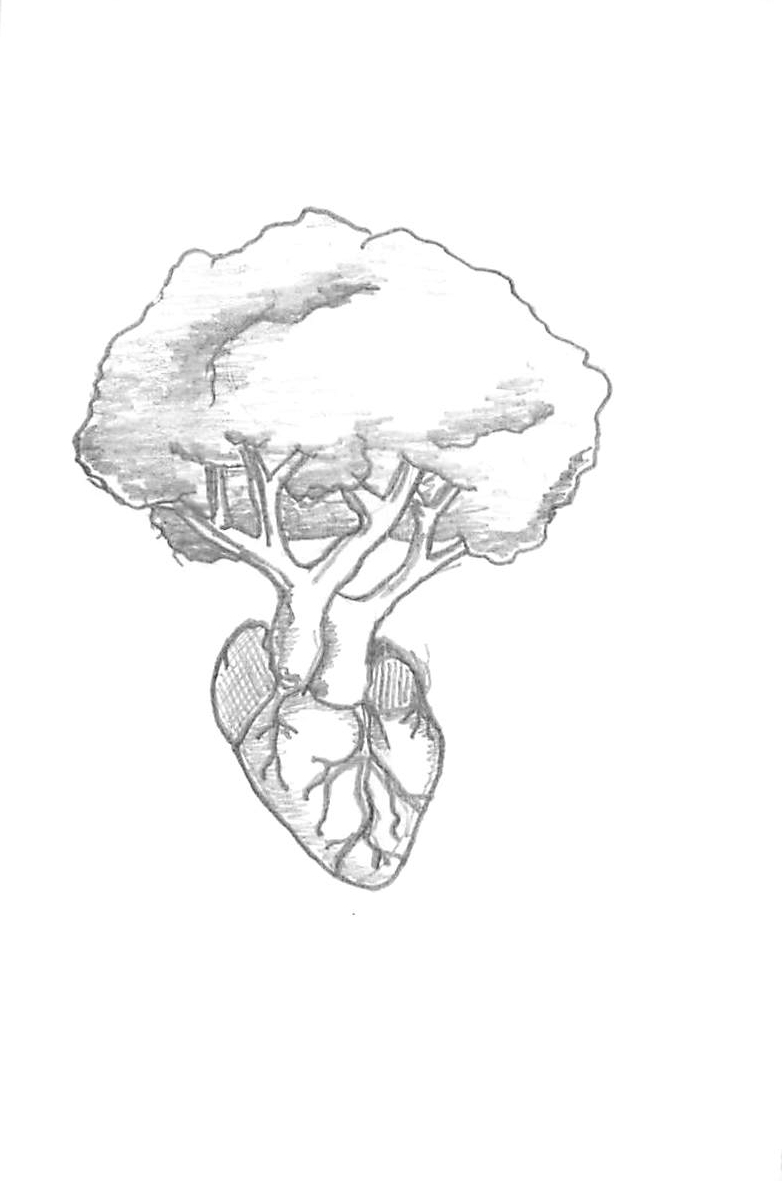 782x1181 Sketch Of Heart3 Ink Amp Metal Tree Sketches, Heart