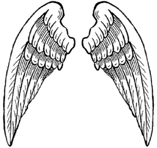 500x472 Best Photos Of Wings Coloring Pages