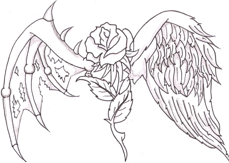 800x571 Gallery Roses Drawings With Hearts And Wings,