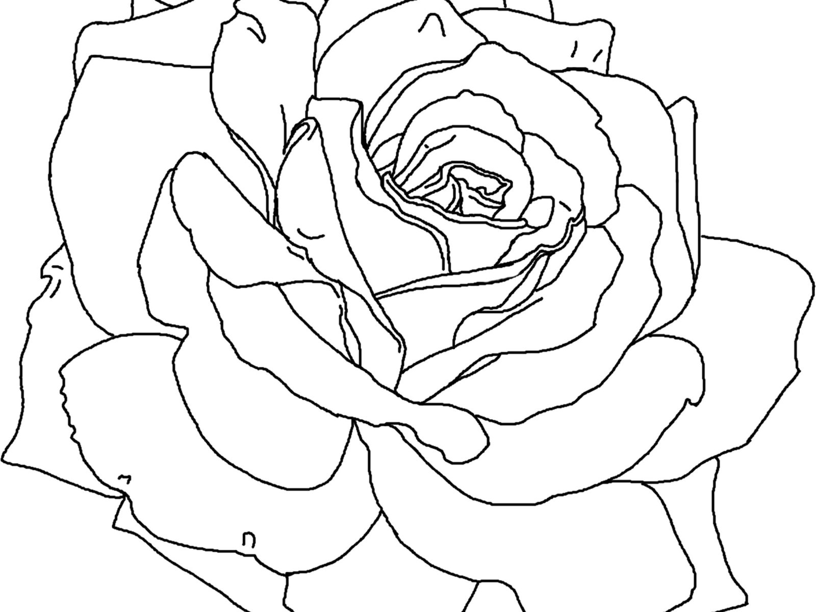 1600x1200 Hearts And Roses Coloring Pages Valentine Free Printable Flowers