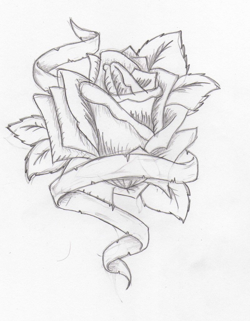 800x1026 Drawn Hearts Ribbon