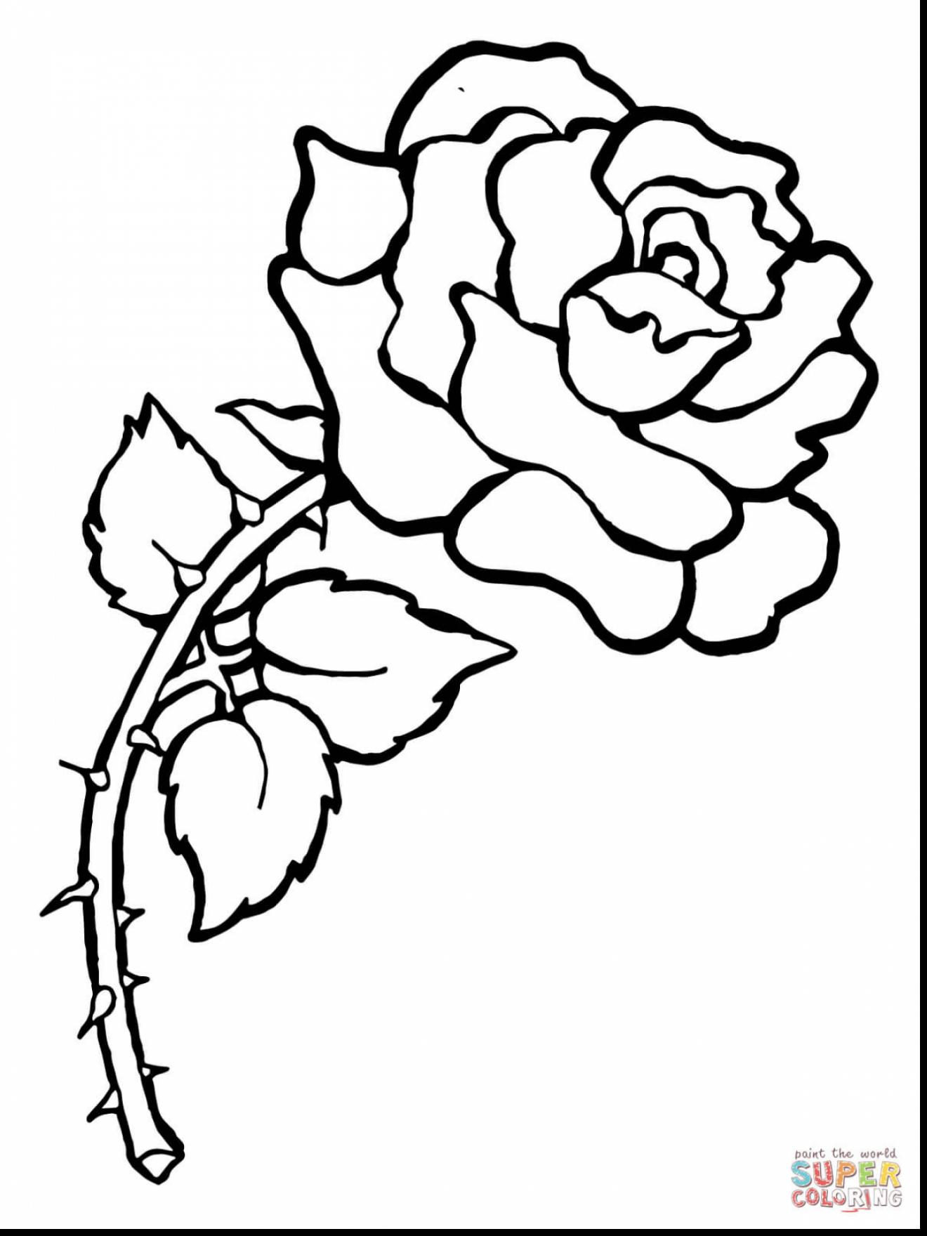1320x1760 Top 10 Beautiful Rose Coloring Pages Drawing