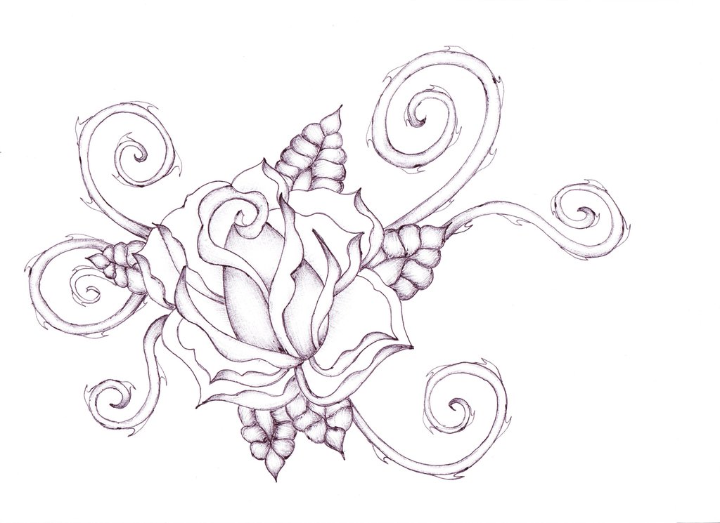 1024x745 Roses With Thorns Drawings Rose Tattoo Spiral Thorns By