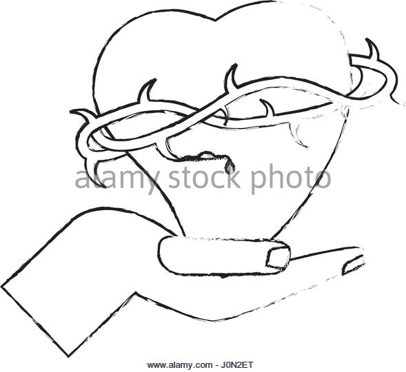 589x540 Crown Of Thorns Black And White Stock Photos Amp Images