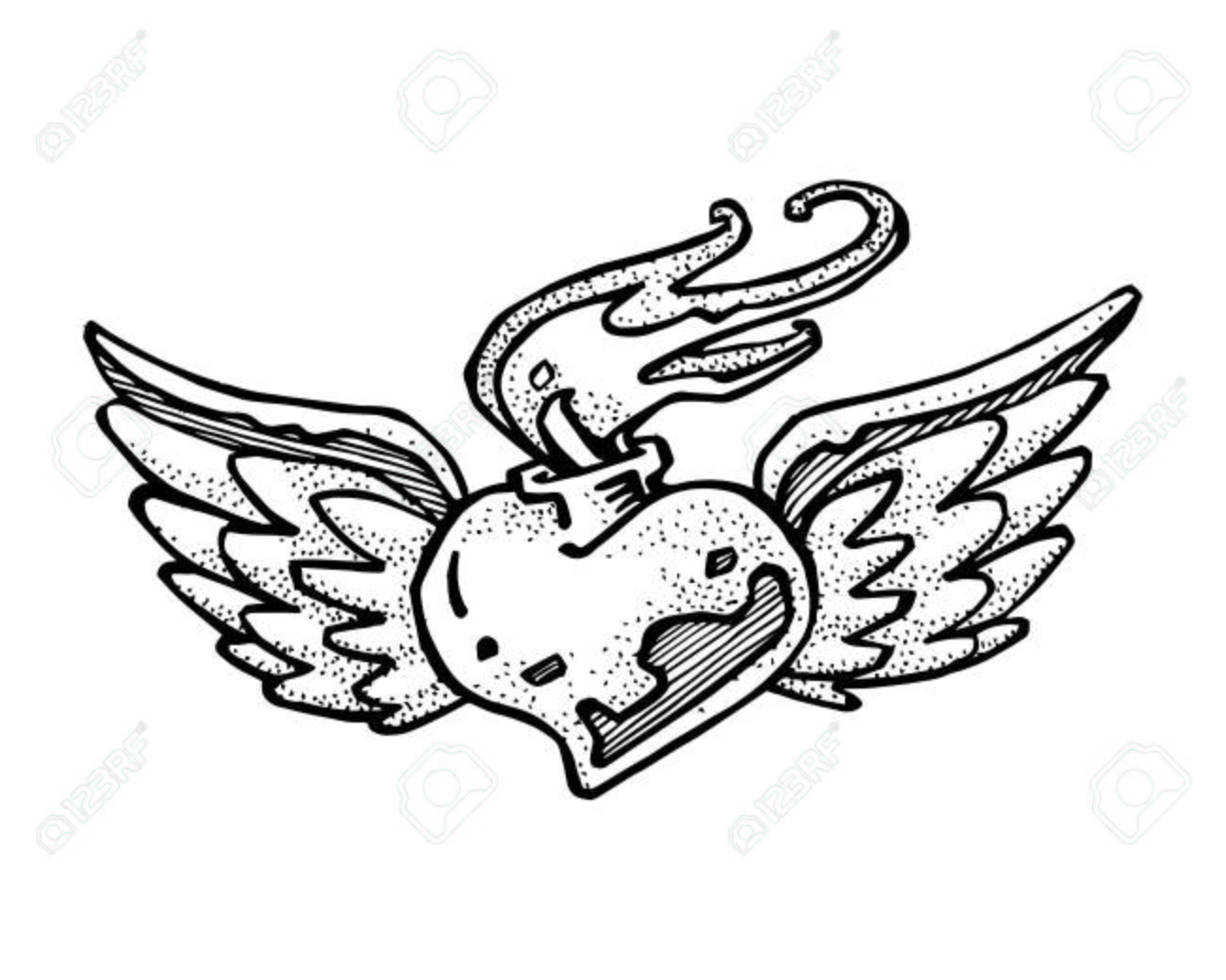 1300x1039 Hand Drawn Vector Illustration Or Drawing Of A Heart With Wings