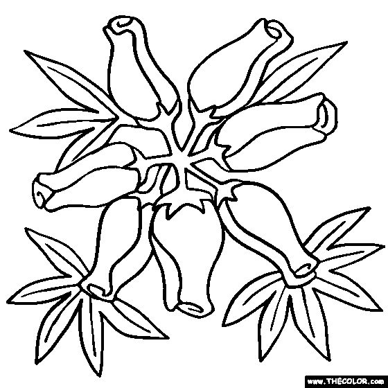 560x560 Heather Flower Coloring Page