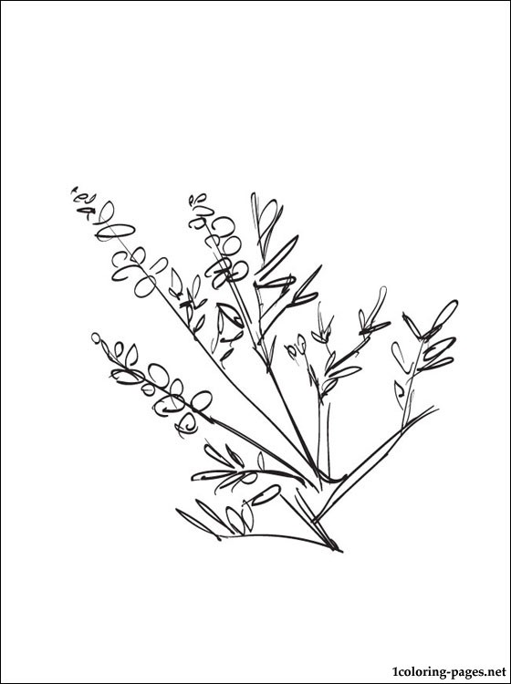 560x750 Heather Coloring Page For Free Coloring Pages