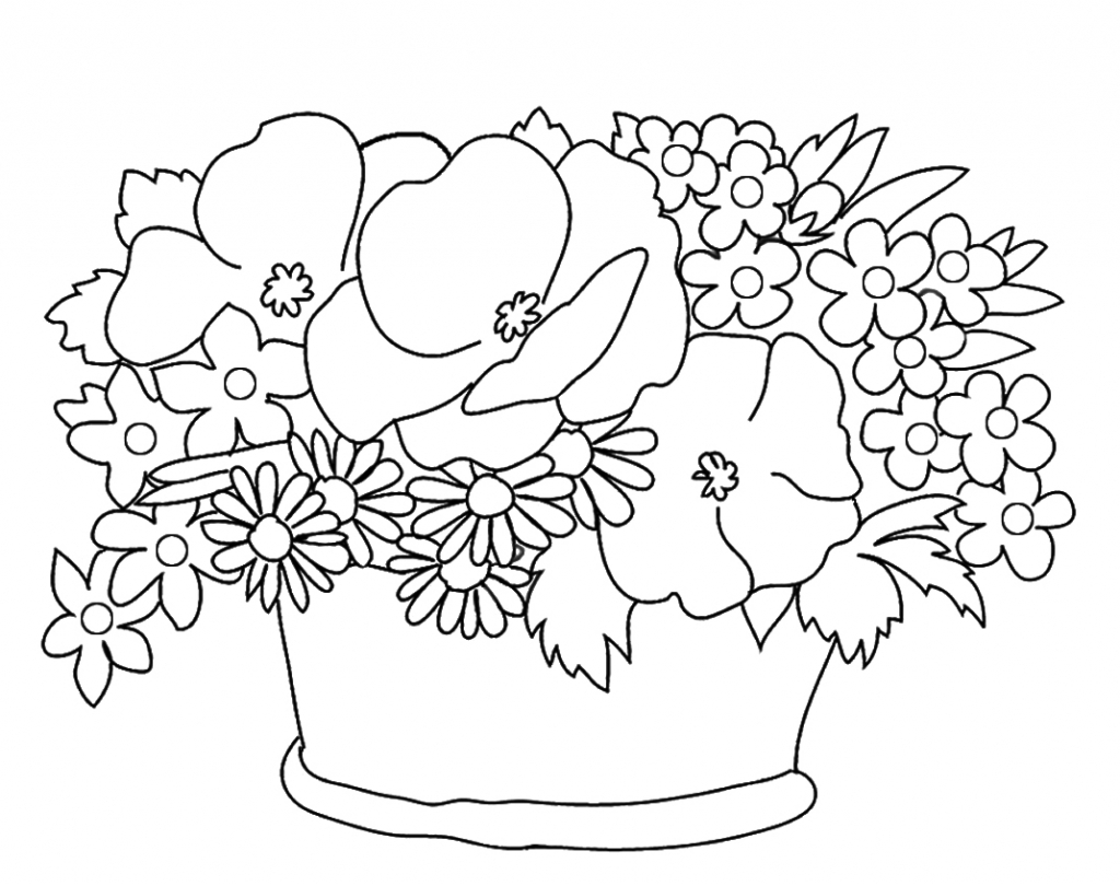 1024x810 Pencil Drawing Of Flower Basket Heather Flower Drawing