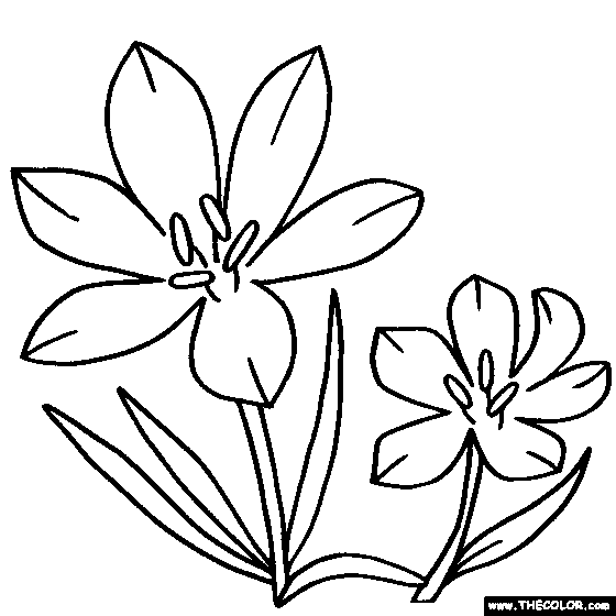 560x560 Free Online Coloring Pages