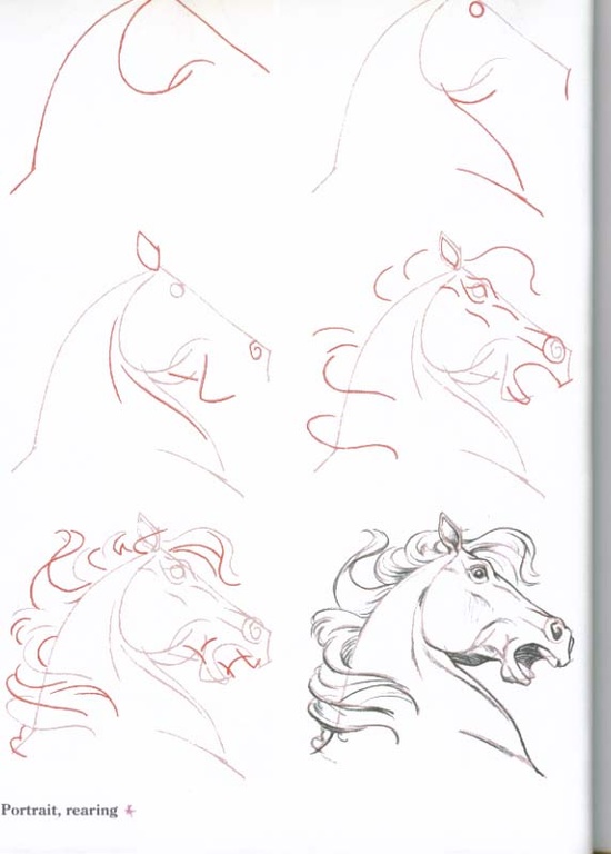 550x768 How To Draw Horses