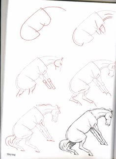 236x324 How To Draw Horses