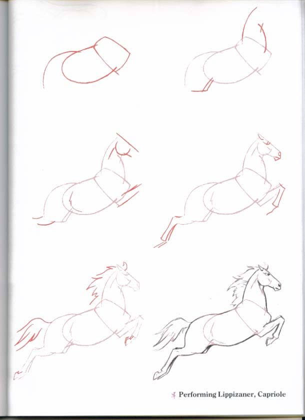610x840 How To Draw Horses