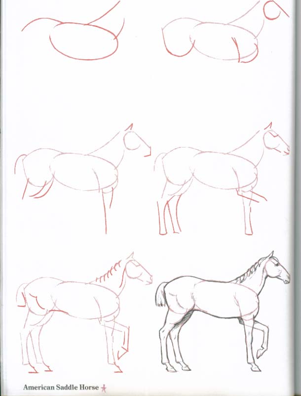 610x803 How To Draw Horses