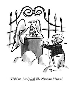 260x300 Heavens Gate Drawings Fine Art America