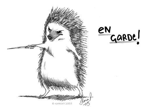 500x366 Image Result For Drawing Of Hedgehogs Fighting How To Hedgehog