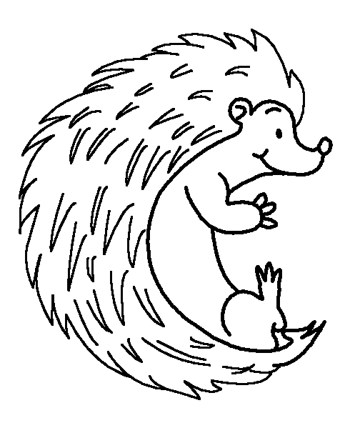 483x592 Hedgehog Coloring Page