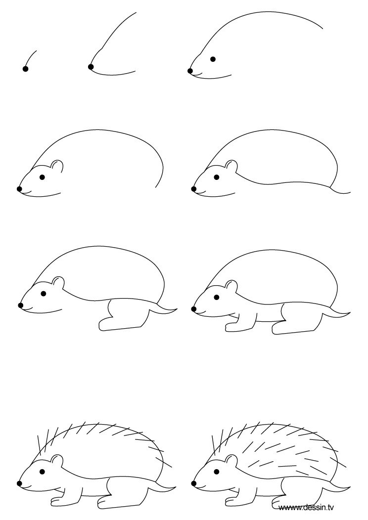 744x1052 Drawing Hedgehog