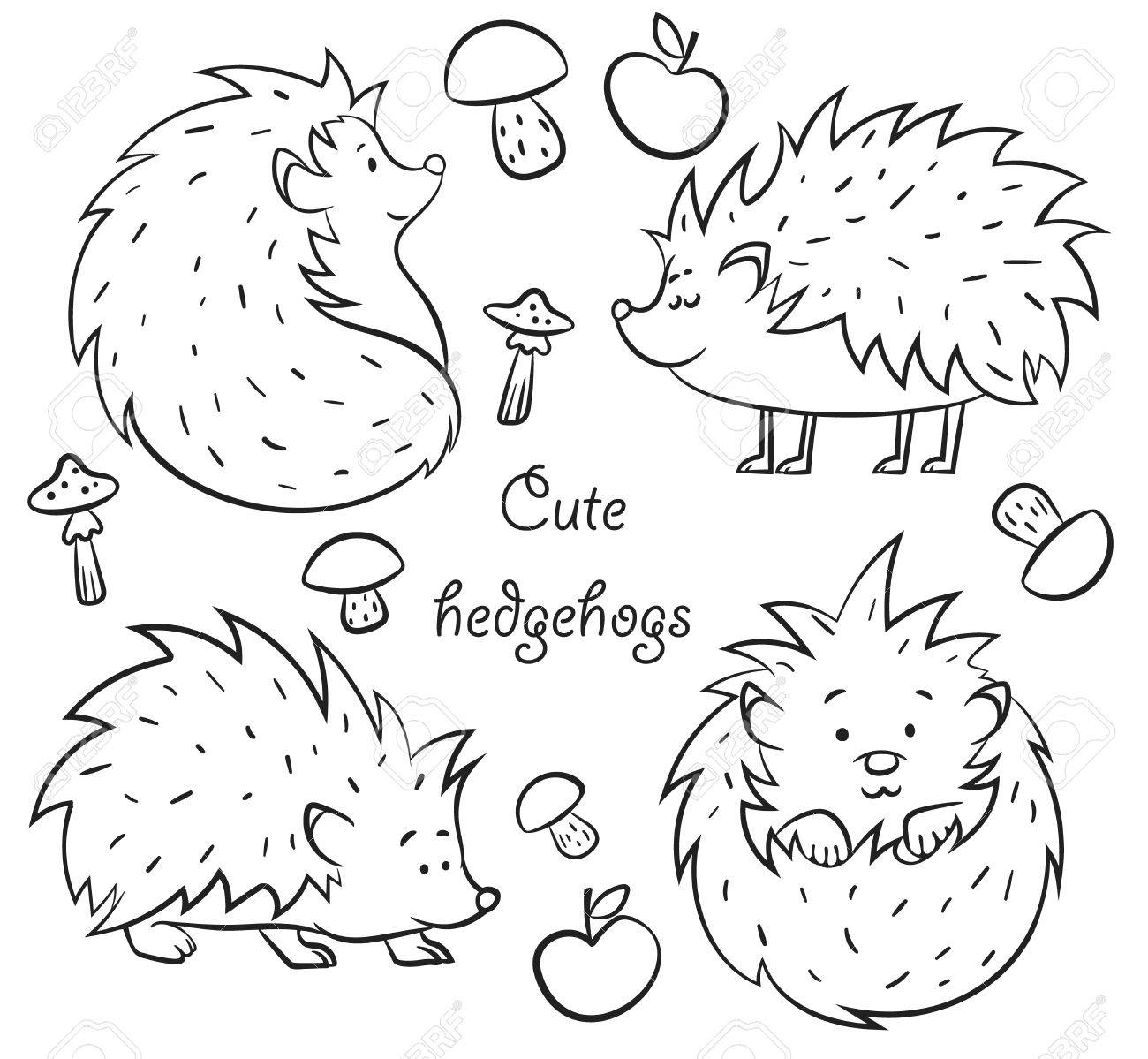 1300x1199 Four Cute Hedgehogs Set, Hand Drawn Vector Illustration Outline