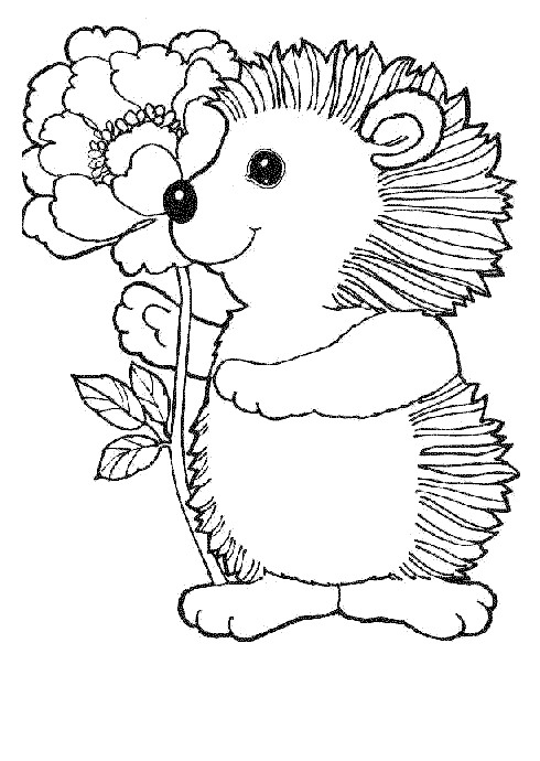 490x690 Coloring Page Hedgehogs
