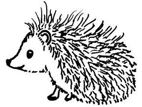 289x217 Hedgehog