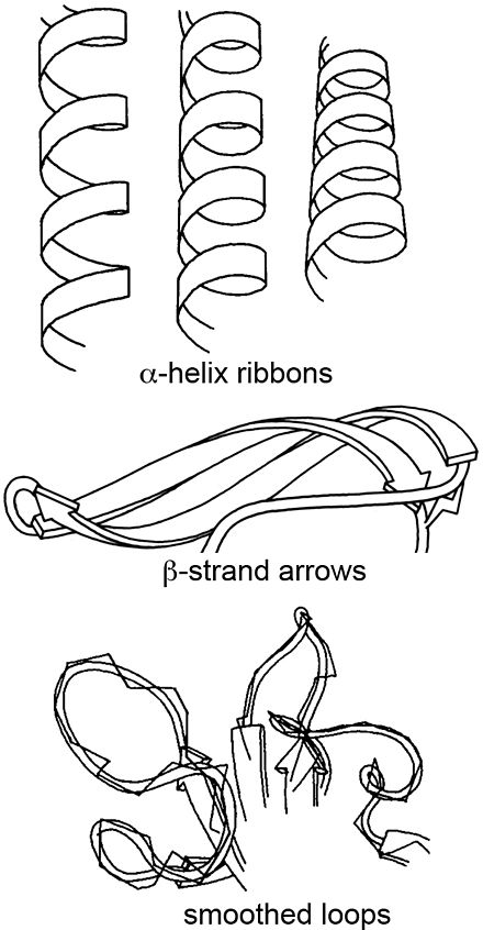 440x846 Ribbon Diagram