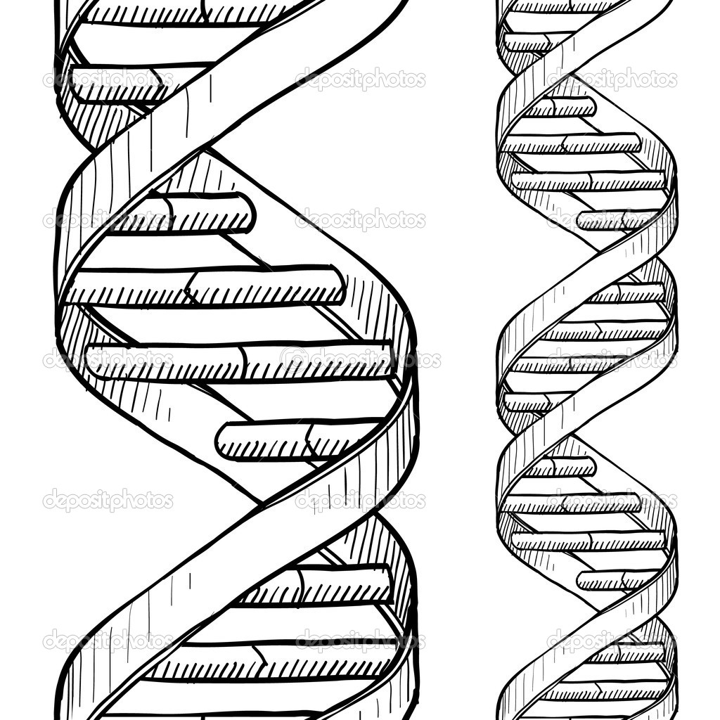 1024x1024 Dna Double Helix Art