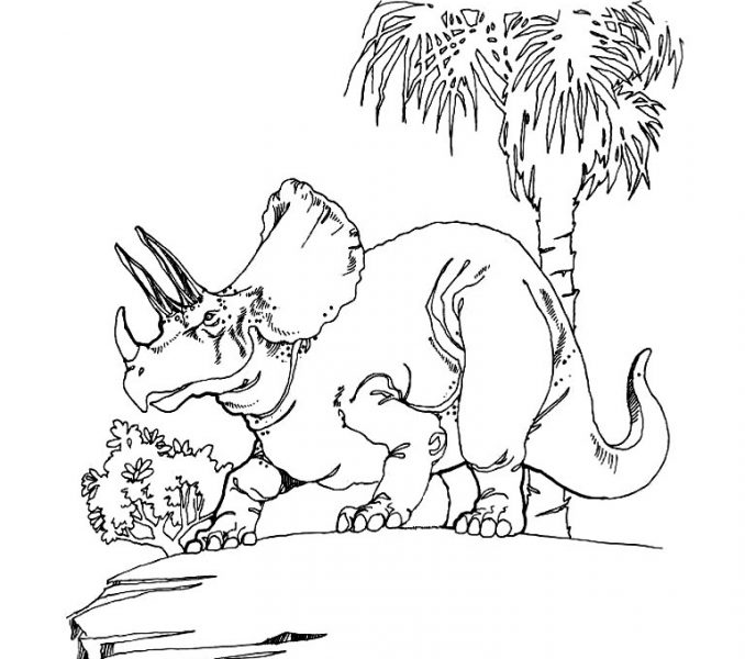 678x600 Triceratops Coloring Kids Coloring