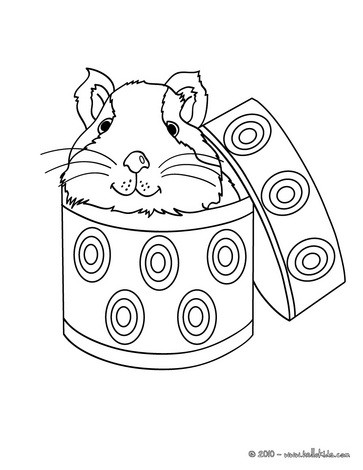 363x470 This Guinea Pig In A Box Coloring Page Is So Beautiful. Nice Cat