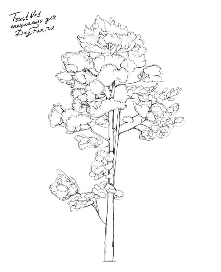 736x904 54 Best How To Draw Realistic Trees, Plants Bushes And Rocks