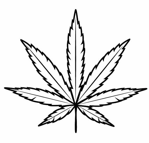 570x548 Marijuana Leaf