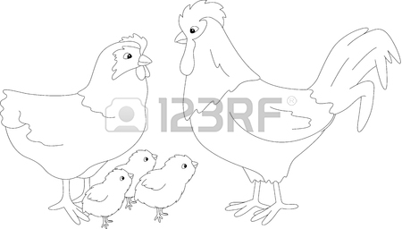 450x256 Hen And Chicks Stock Photos. Royalty Free Business Images