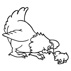 230x230 Top 10 Free Printable Cute Chicks Coloring Pages Online