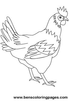 229x336 Hen Coloring Page