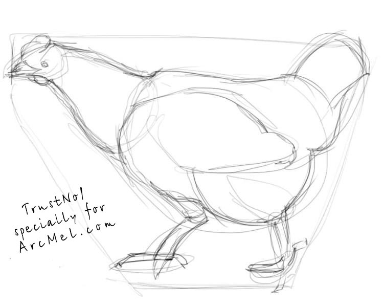751x600 How To Draw A Hen Step By Step