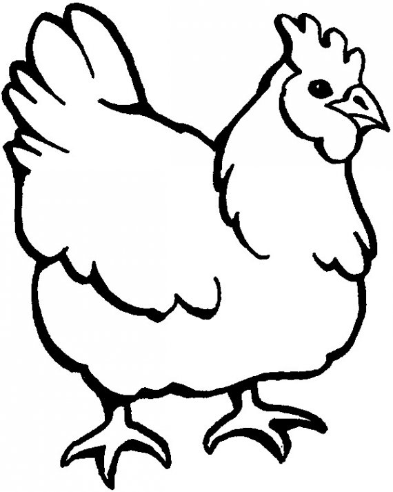 Hen Drawing For Kids at GetDrawings | Free download