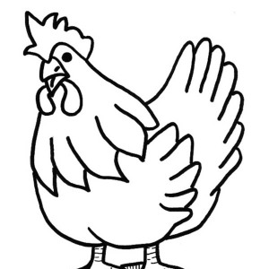 300x300 Sketch Of Hen And Baby Chicks Coloring Page Coloring Sky