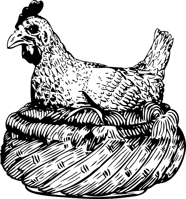 599x640 Drawing, Hen, Wings, Basket, Animal, Feathers