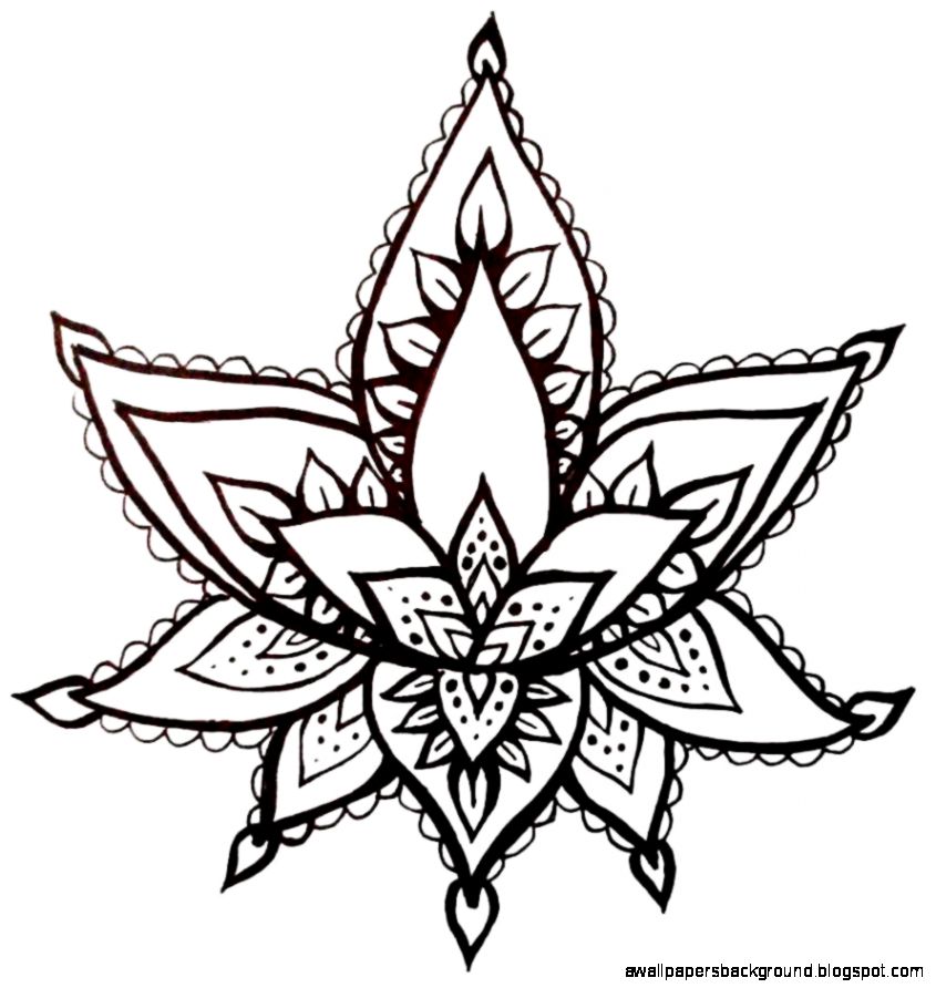 845x892 Lotus Flower Drawing Henna Wallpapers Background