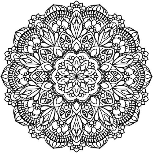 500x500 Vanisha's Doodle Diary